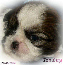 Tzu Ling op 29 september 2006
